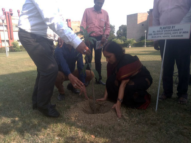 National Seed Research And Training Centre, Varanasi